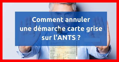 Comment annuler une démarche effectuée sur E Devlet Comment annuler une démarche effectuée sur E Devlet