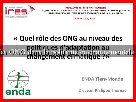 Le rôle des ONG dans la politique environnementale française Le rôle des ONG dans la politique environnementale française