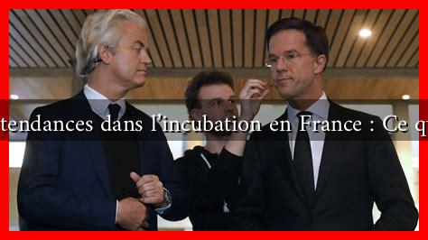 Les nouvelles tendances dans l’incubation en France : Ce qui vous attend Les nouvelles tendances dans l'incubation en France : Ce qui vous attend