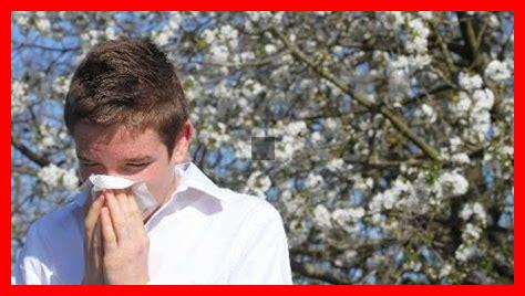 Révolution dans le traitement des allergies grâce à la recherche française Révolution dans le traitement des allergies grâce à la recherche française
