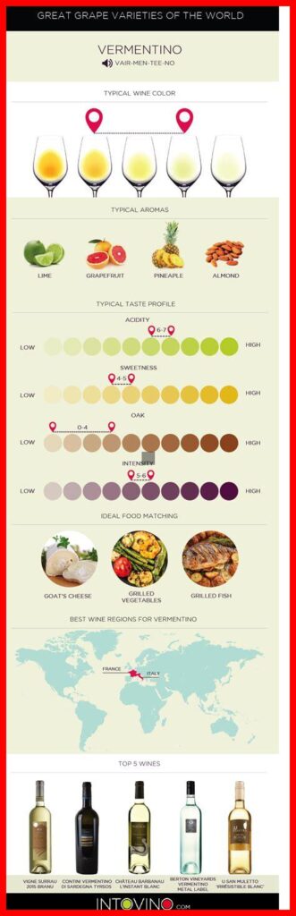 Comment apprécier un Vermentino en dégustation ?