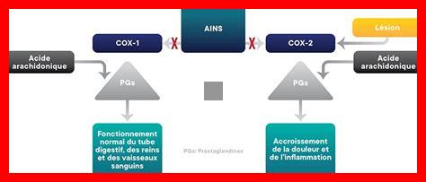 Quelles études ont été menées sur l’ibuprofène Quelles études ont été menées sur l'ibuprofène