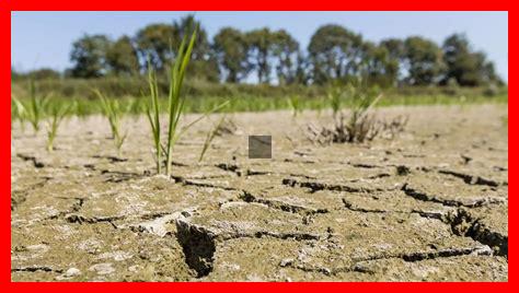 Comment les ménages agricoles peuvent-ils mieux se préparer aux impacts climatiques en automne ? Comment les ménages agricoles peuvent-ils mieux se préparer aux impacts climatiques en automne ?