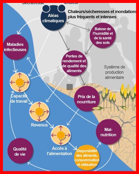 Quels sont les effets des sécheresses d’automne sur les cultures agricoles ? Quels sont les effets des sécheresses d'automne sur les cultures agricoles ?