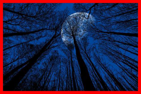 Comment la lune éclaire-t-elle le ciel nocturne Comment la lune éclaire-t-elle le ciel nocturne