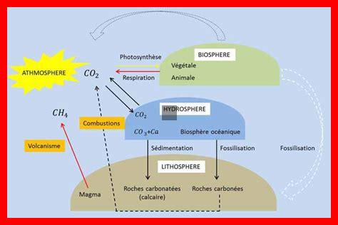 Comment l’hydrogène cosmique influence-t-il les cycles de vie des étoiles Comment l'hydrogène cosmique influence-t-il les cycles de vie des étoiles