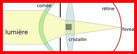 Quelles précautions prendre lors de l’exposition au rayonnement gamma Quelles précautions prendre lors de l'exposition au rayonnement gamma