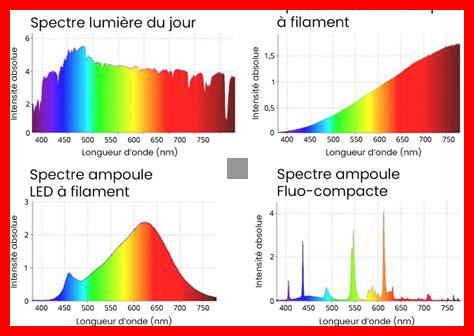 Comment choisir des illuminations colorées pour une atmosphère vivante Comment choisir des illuminations colorées pour une atmosphère vivante