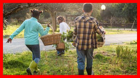 Comment impliquer les enfants dans des pratiques durables Comment impliquer les enfants dans des pratiques durables