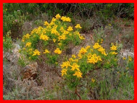 Comment les couleurs influencent-elles l’humeur au printemps Comment les couleurs influencent-elles l'humeur au printemps
