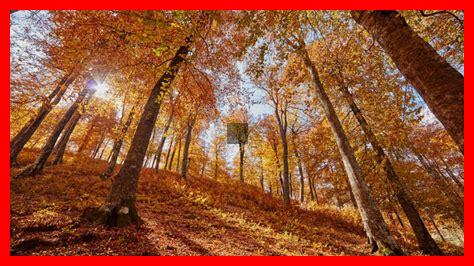 Comment les matériaux naturels dominent-ils cette saison Comment les matériaux naturels dominent-ils cette saison