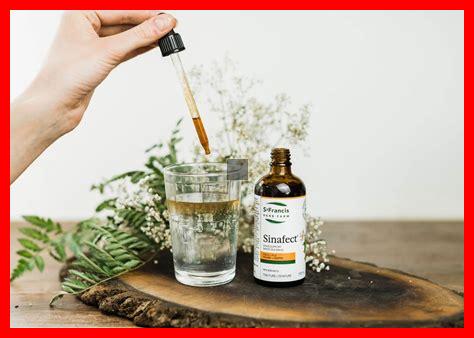 Les plantes vertes sont-elles indispensables pour les allergies saisonnières Les plantes vertes sont-elles indispensables pour les allergies saisonnières